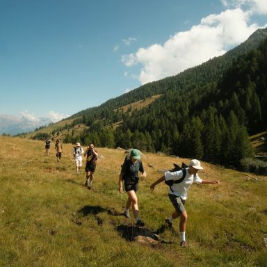 Gruppe von Wanderern auf einem Bergweg, umgeben von grünen Hügeln und Bäumen.